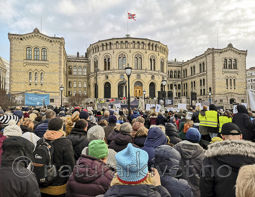 BB_20190112_0002