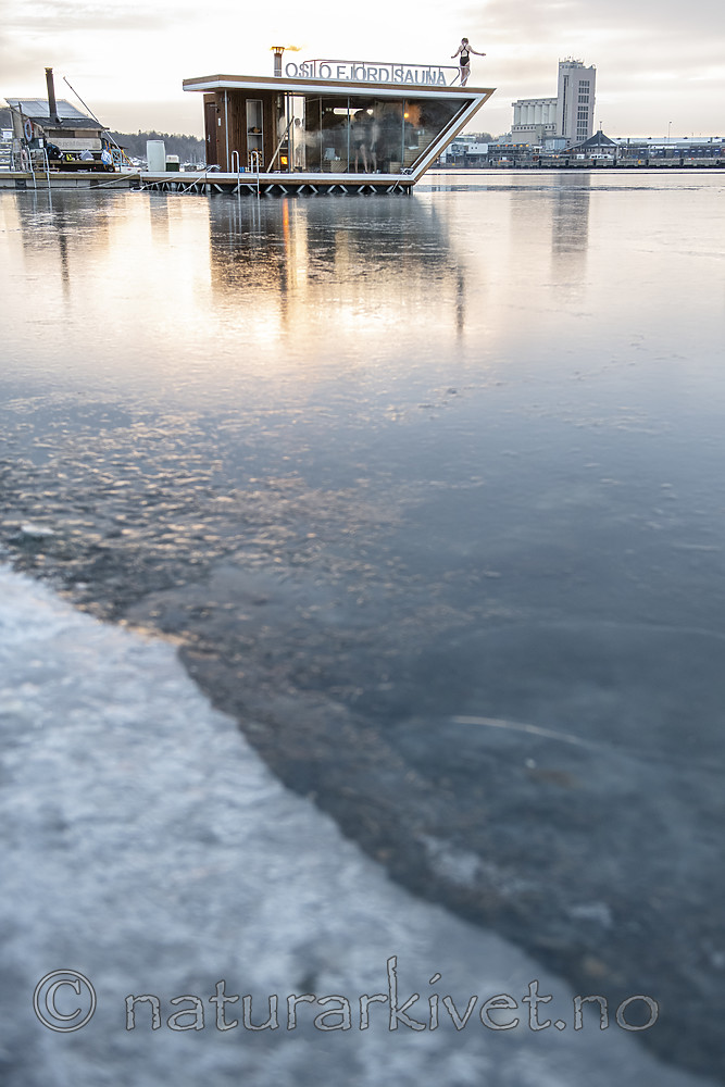 BB_20190112_0061