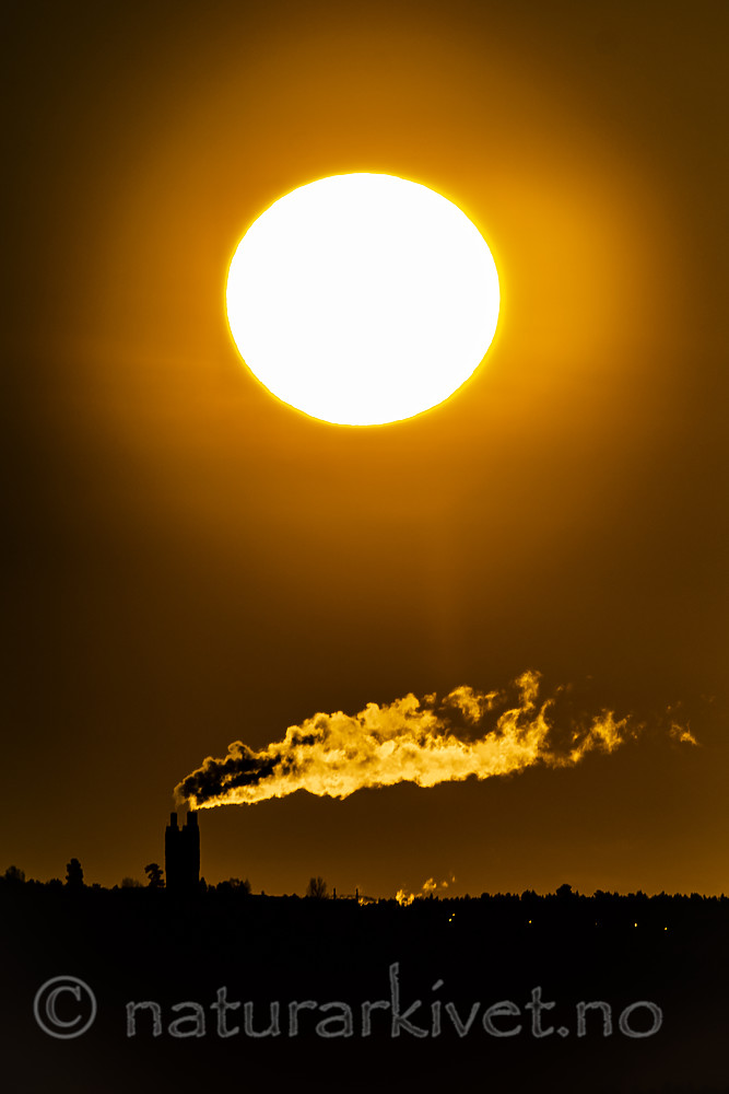 BB_20190220_0007