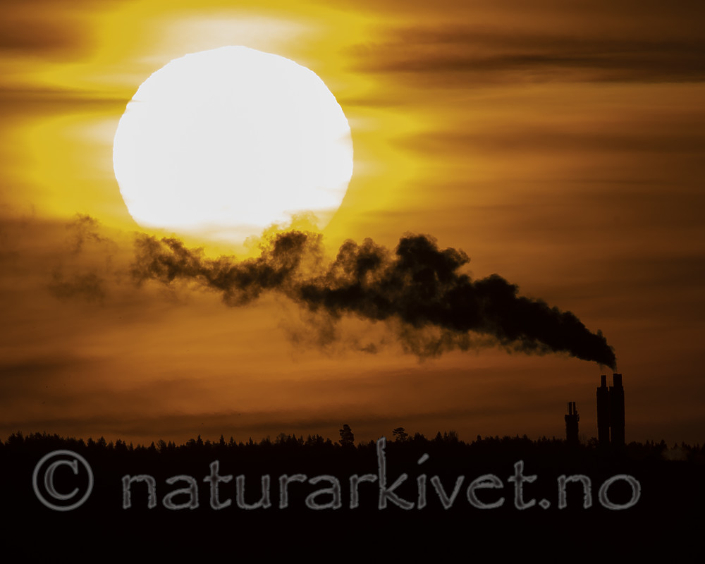 BB_20190302_0039