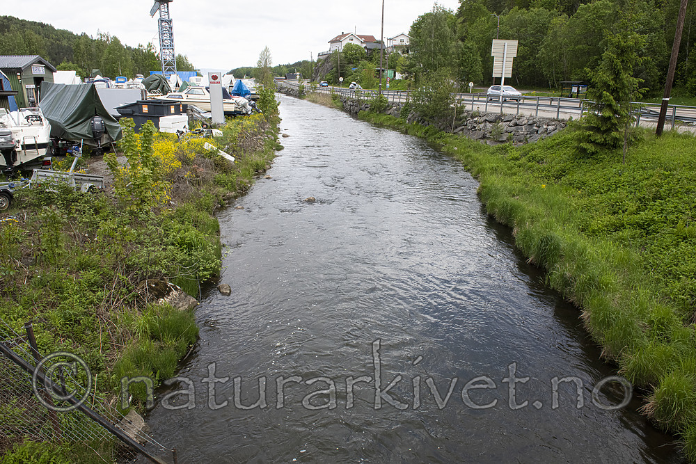 BB_20190526_0321