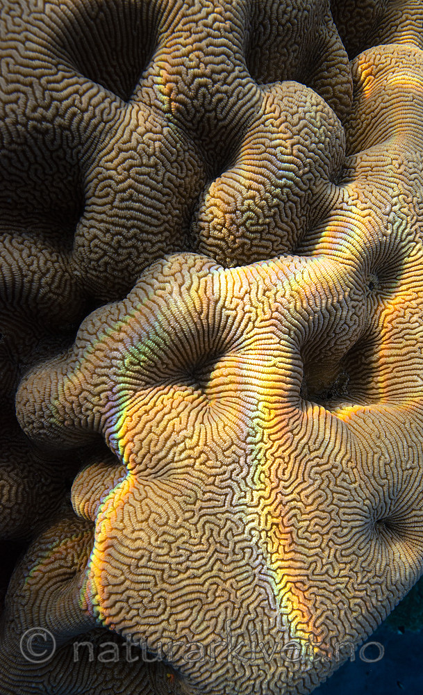 BB_20191002_0316