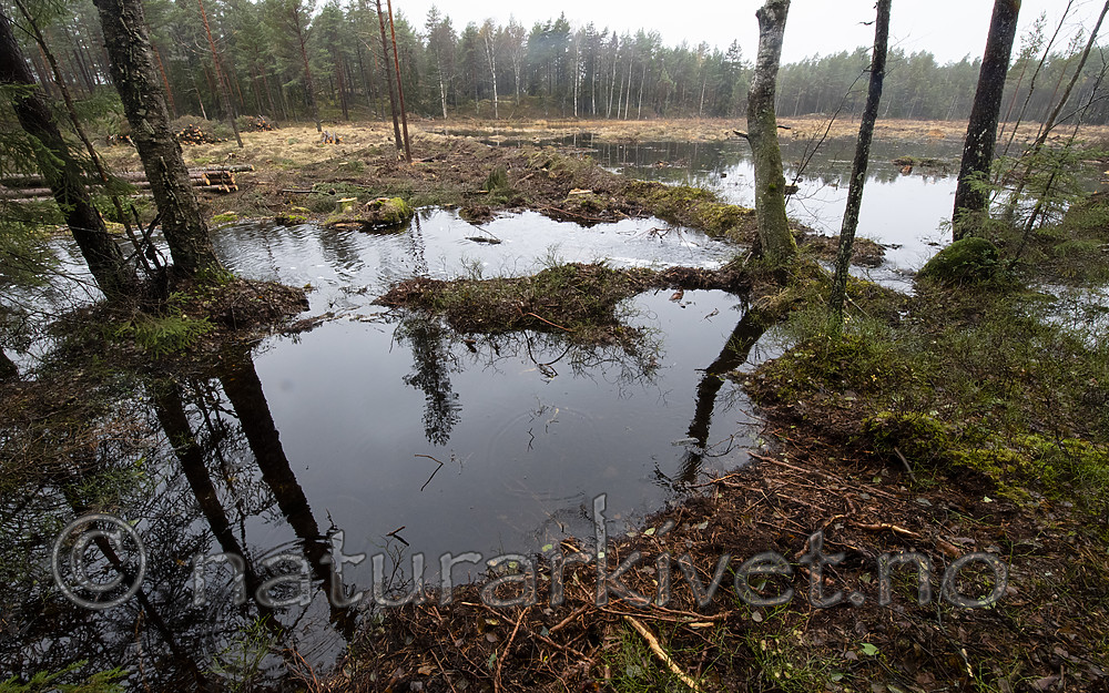 BB_20191020_0063