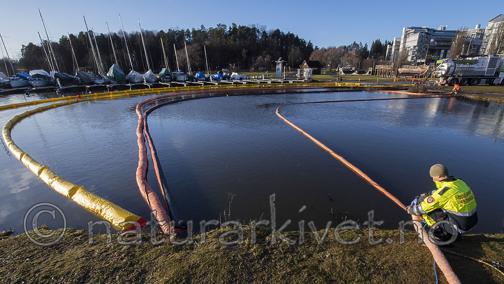 BB_20200115_0013