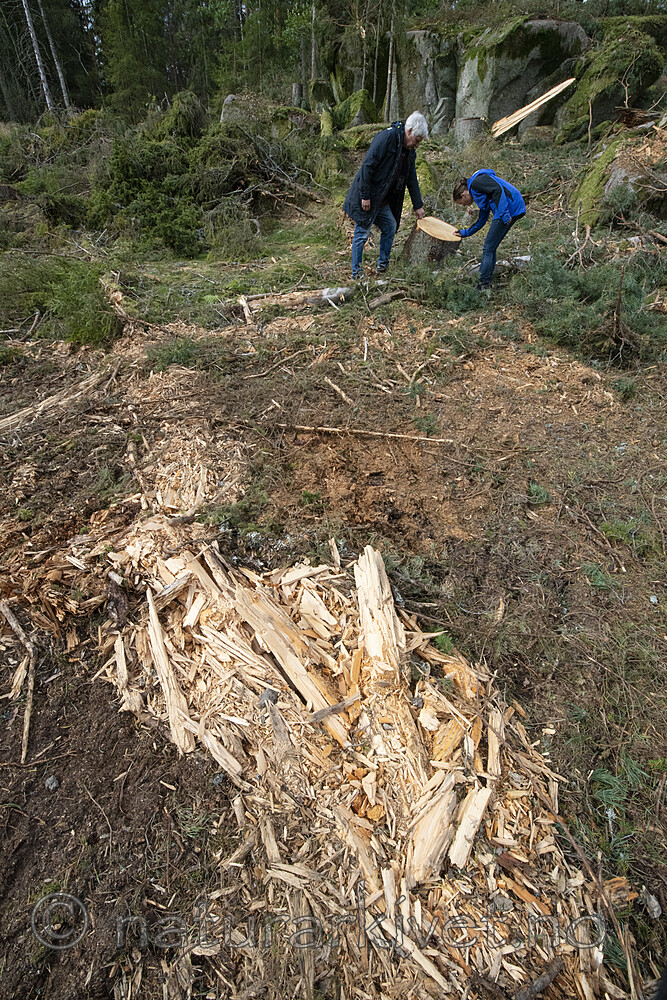 BB_20200911_0011
