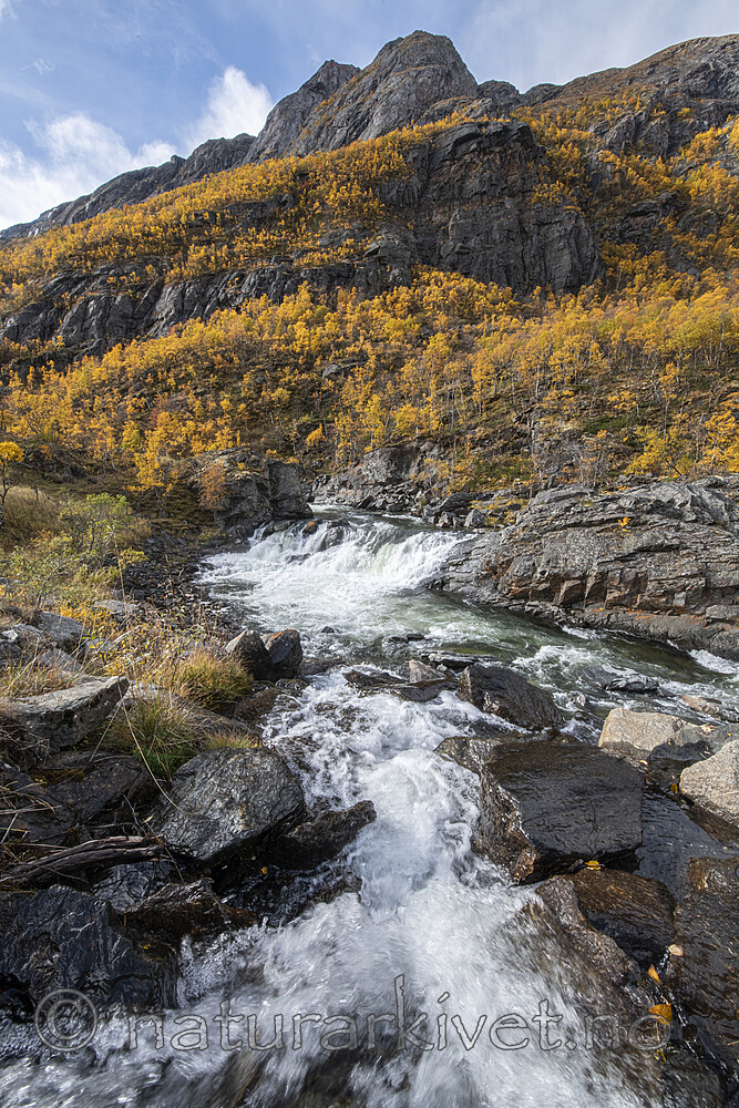 BB_20200925_0531
