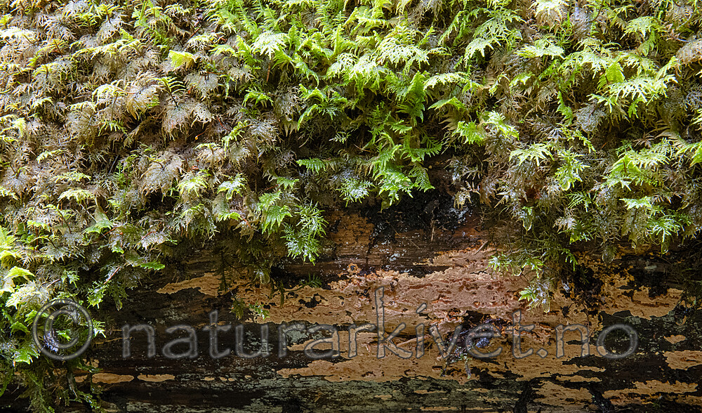 BB_20201021_0005