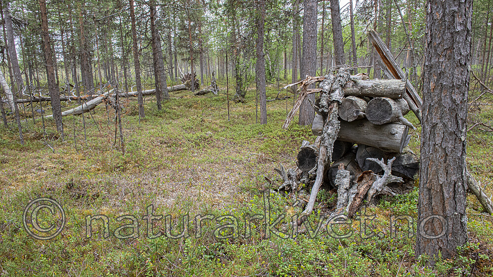 BB_20210621_0353
