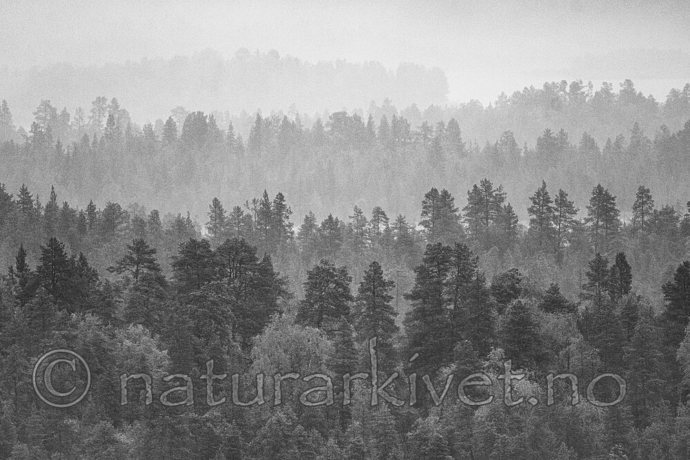 BB_20210622_0145