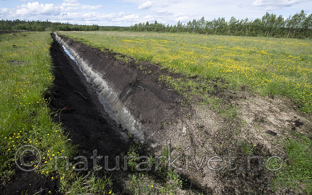 BB_20210622_0839