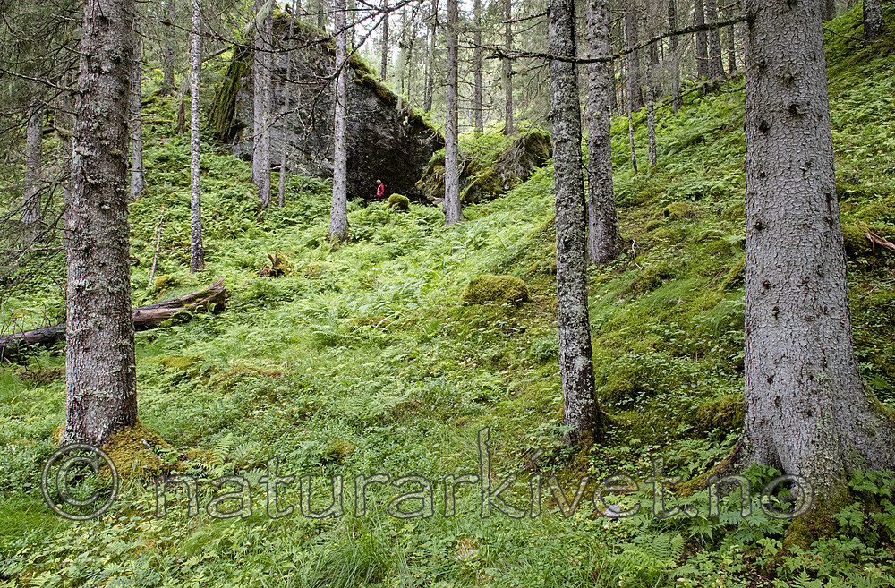 BB_20210724_0040