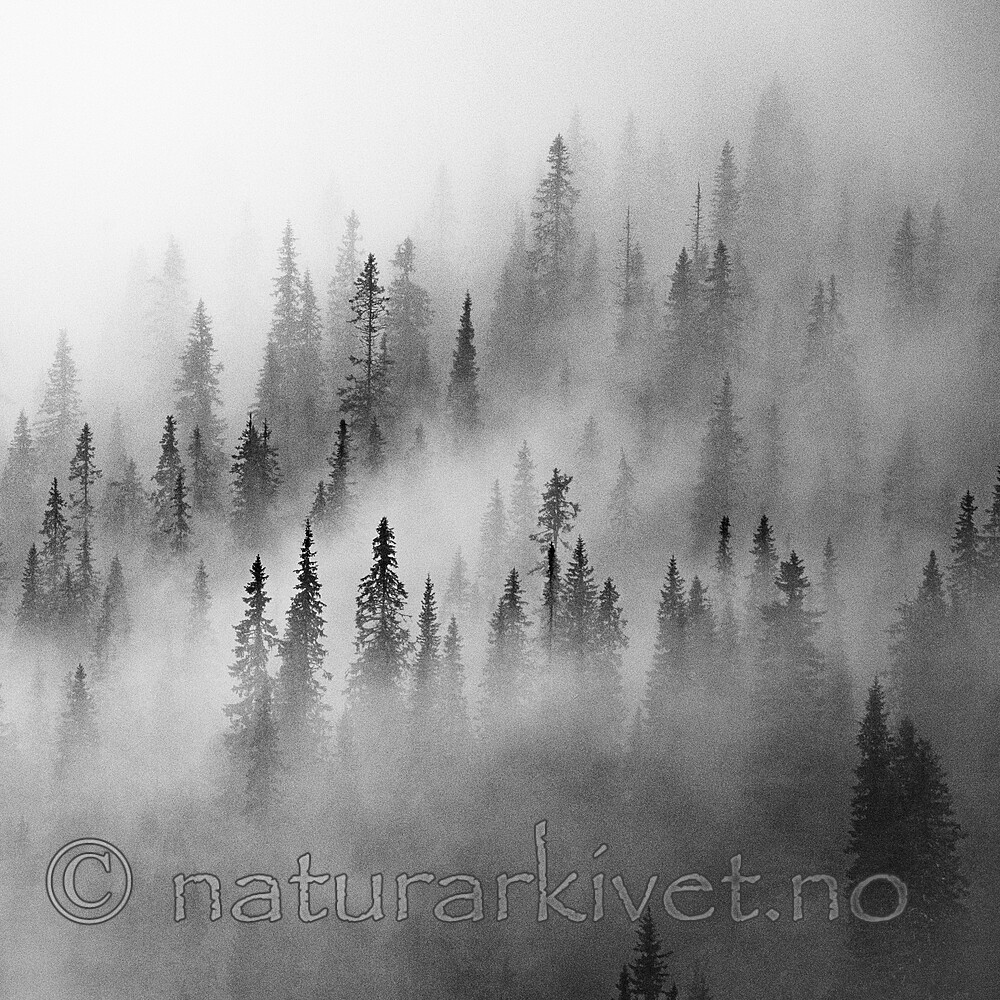 BB_20210724_0213