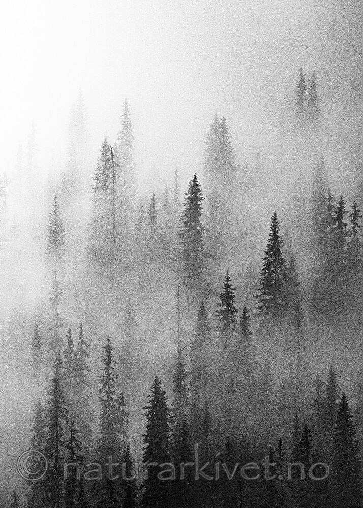 BB_20210724_0222