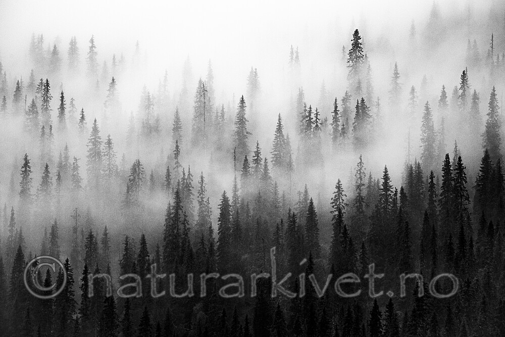 BB_20210724_0226