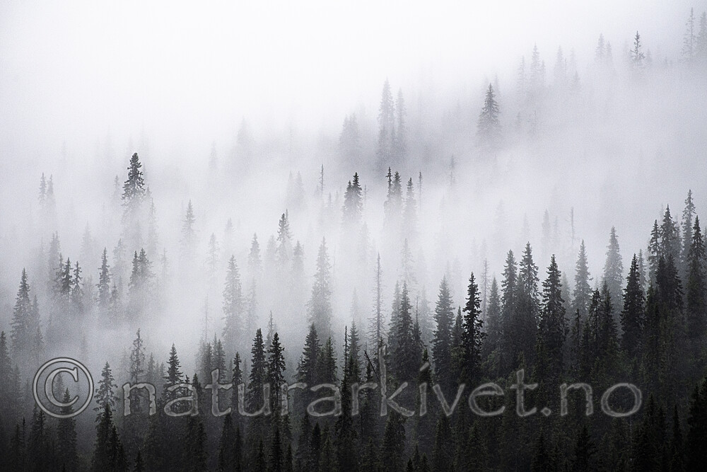 BB_20210724_0229