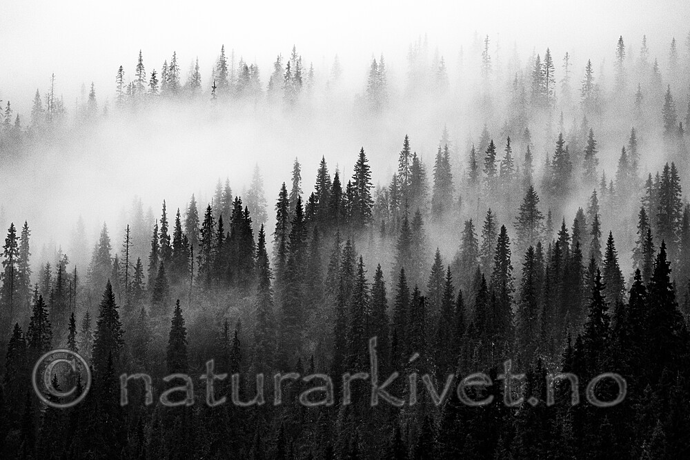 BB_20210724_0235