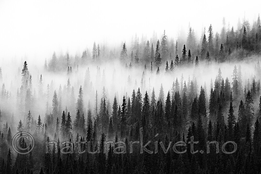 BB_20210724_0242