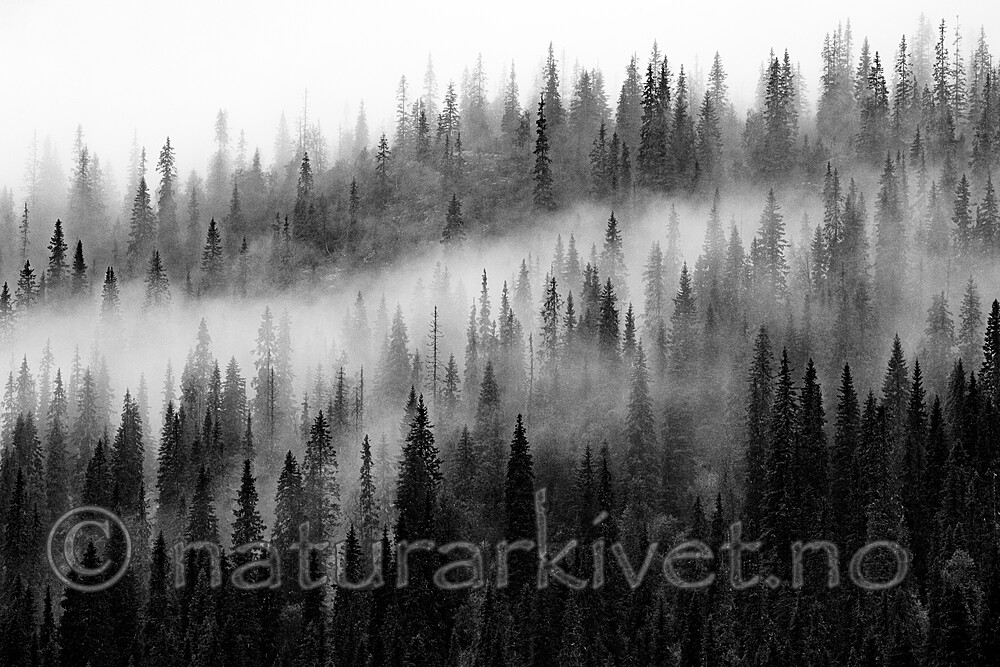 BB_20210724_0243