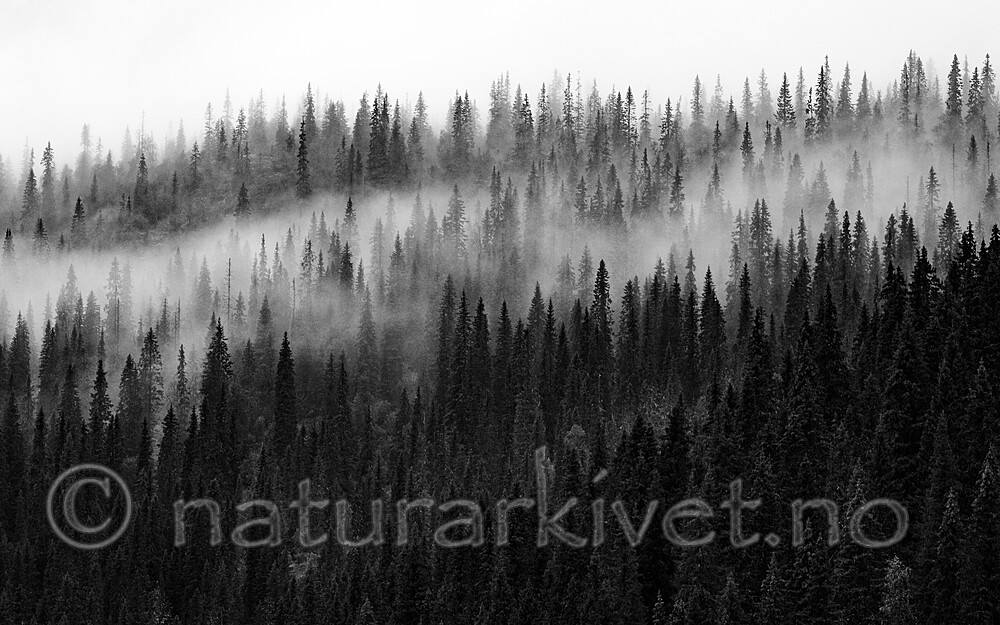 BB_20210724_0245