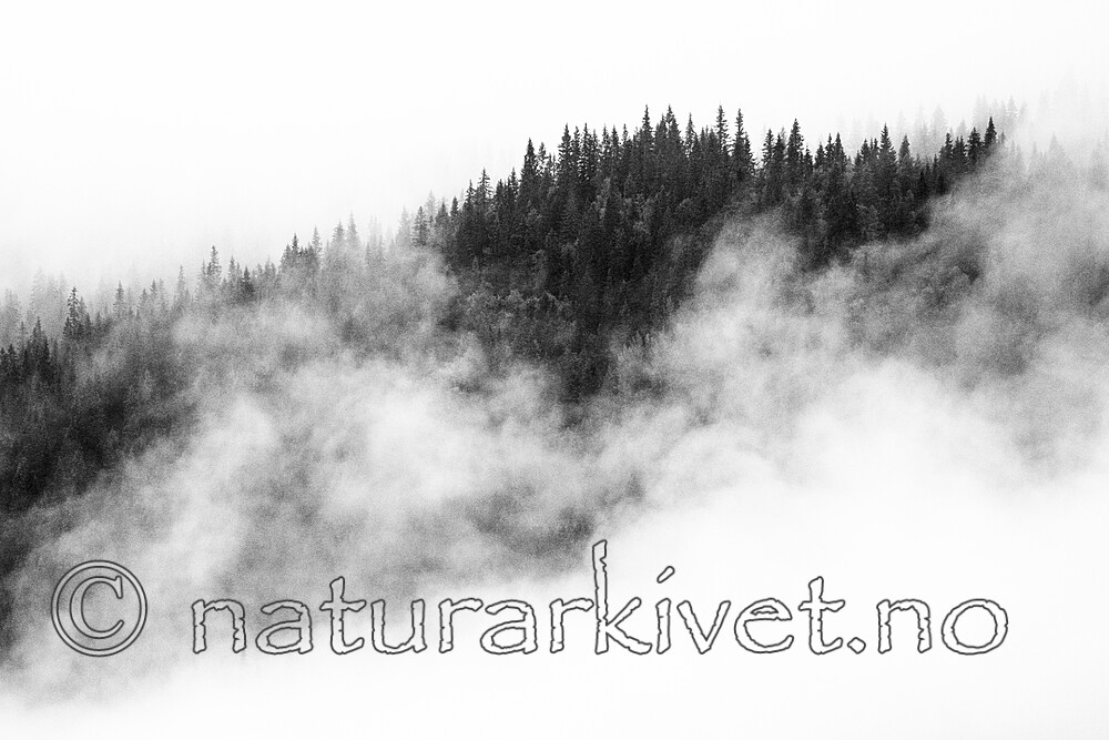 BB_20210725_0019
