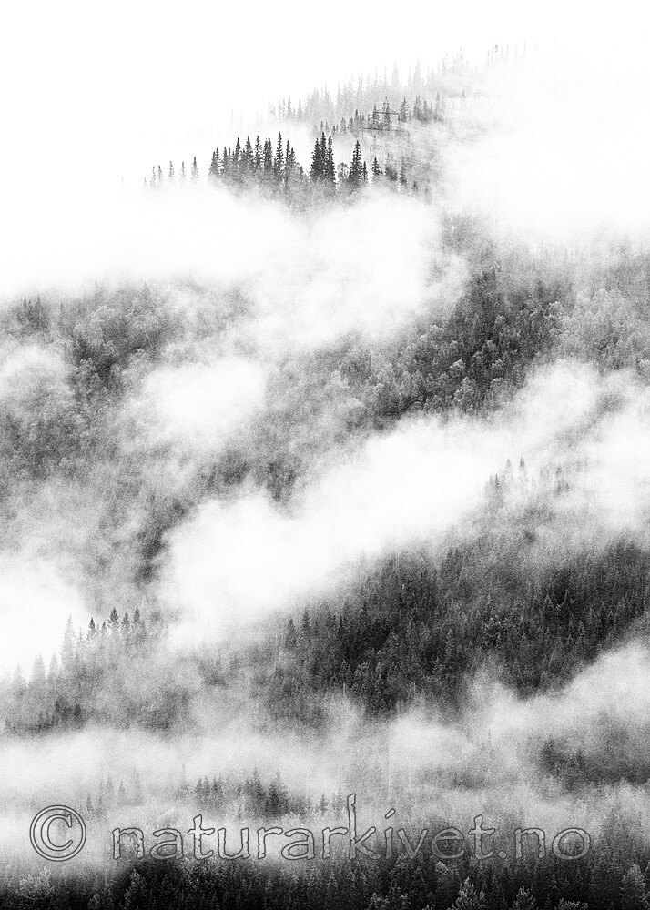 BB_20210725_0028