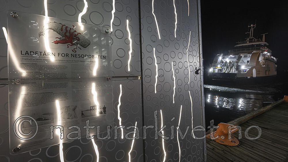 BB_20221031_0029-SharpenAI-Focus