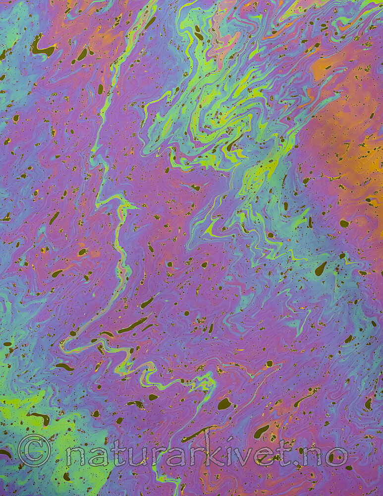 BB_20230705_0502
