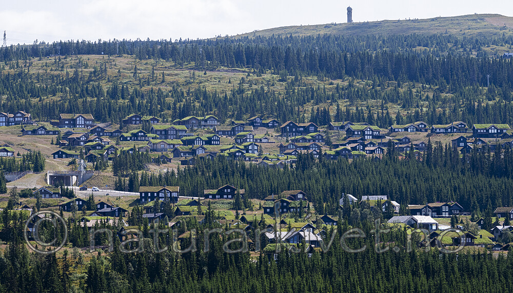BB_20240801_0002