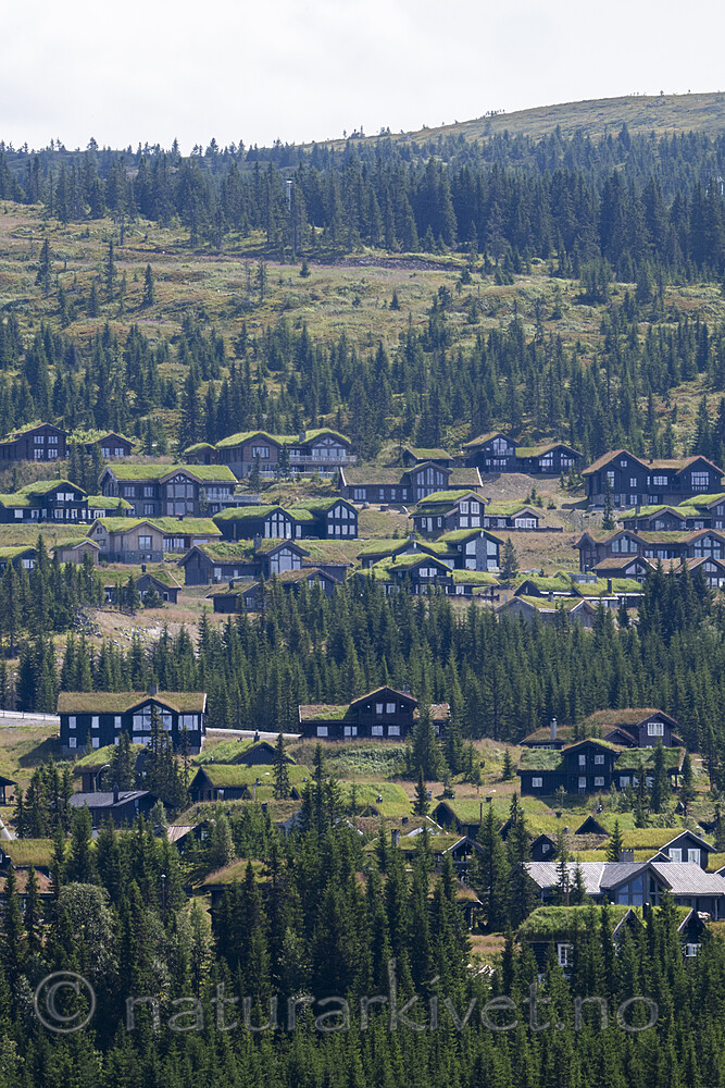 BB_20240801_0003