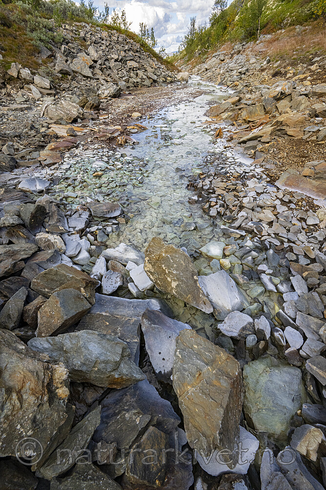 BB_20250903_0171