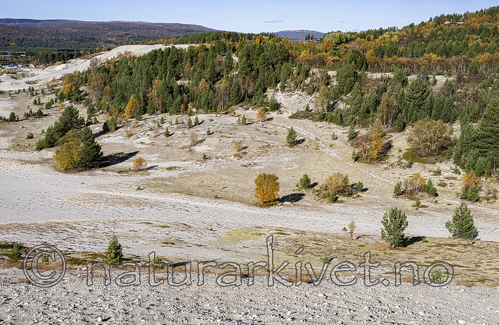 BB_20251001_0085-