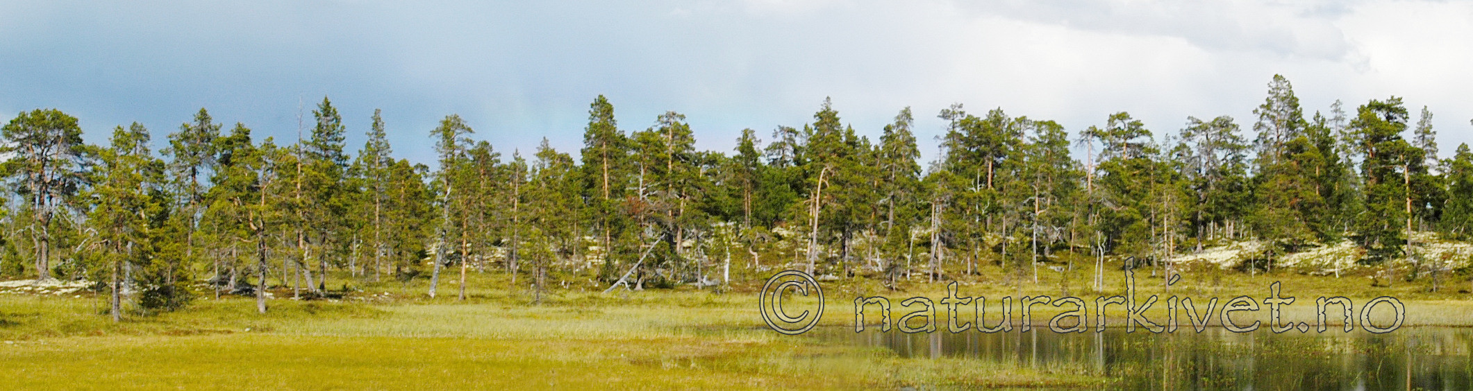 DSC_5704_2_filtered
