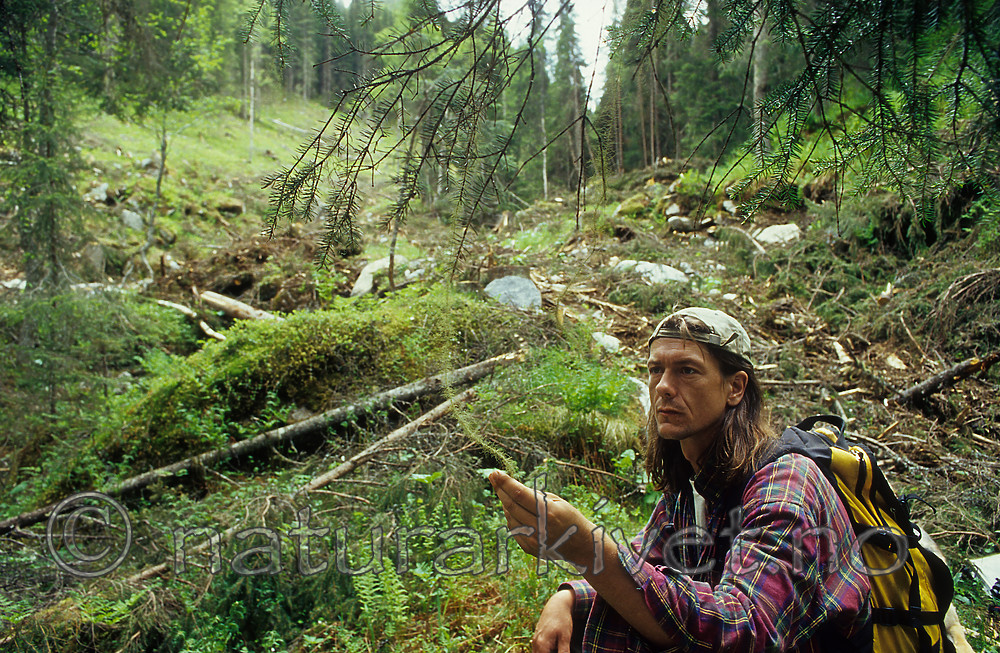 KA 01 00 0288 / Usnea longissima / Huldrestry