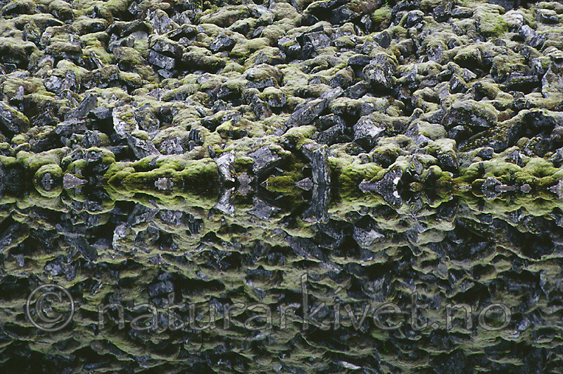 KA 99 05 0073
