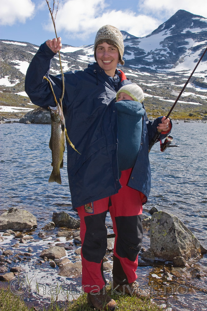 KA_07_1_1161 / Salmo trutta / ørret