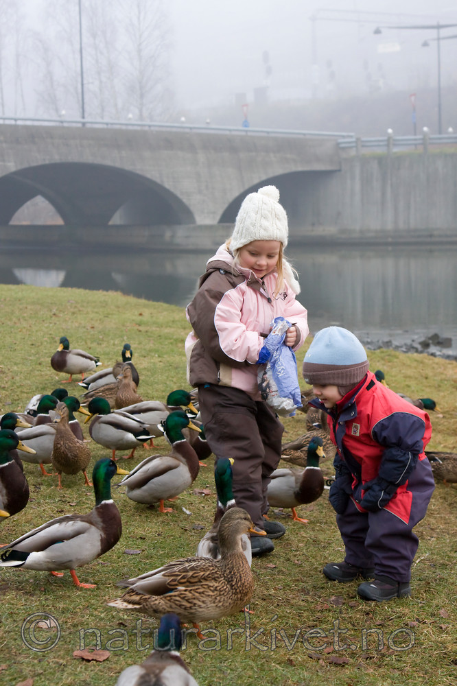 KA_07_1_1949