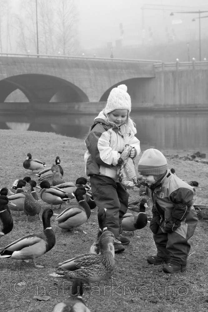 KA_07_1_1949_sh