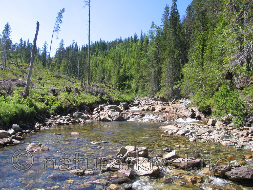 KA_07_2_0110