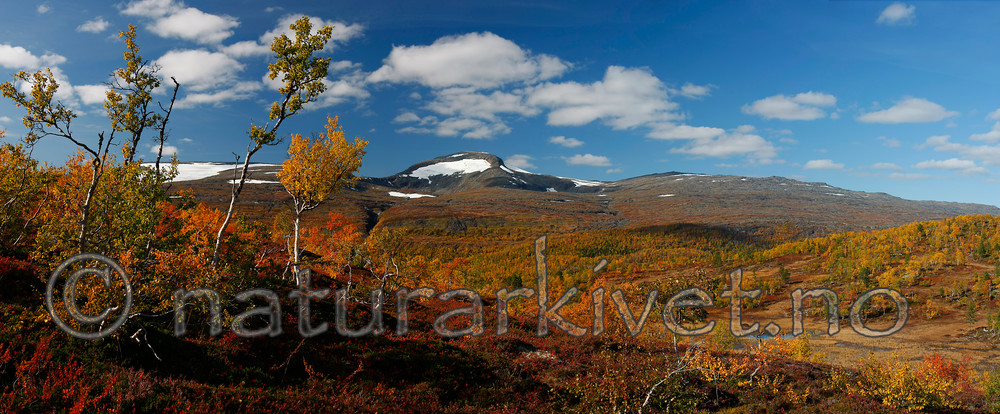 KA_080916_p2156-2159