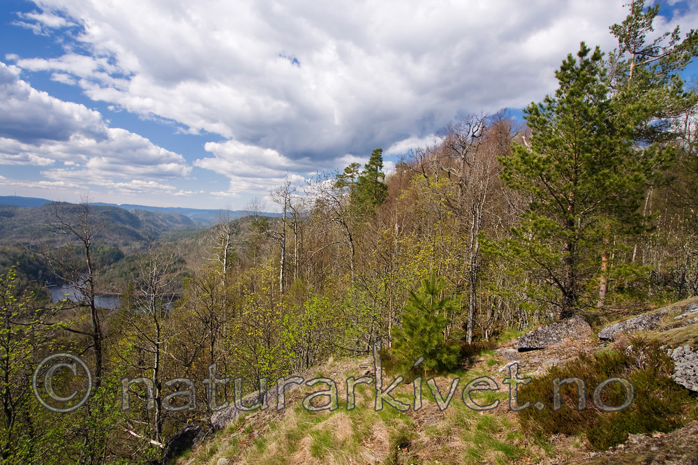 KA_08_1_0785