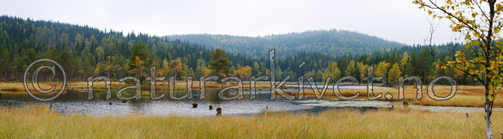 KA_08_1_p2212-2214