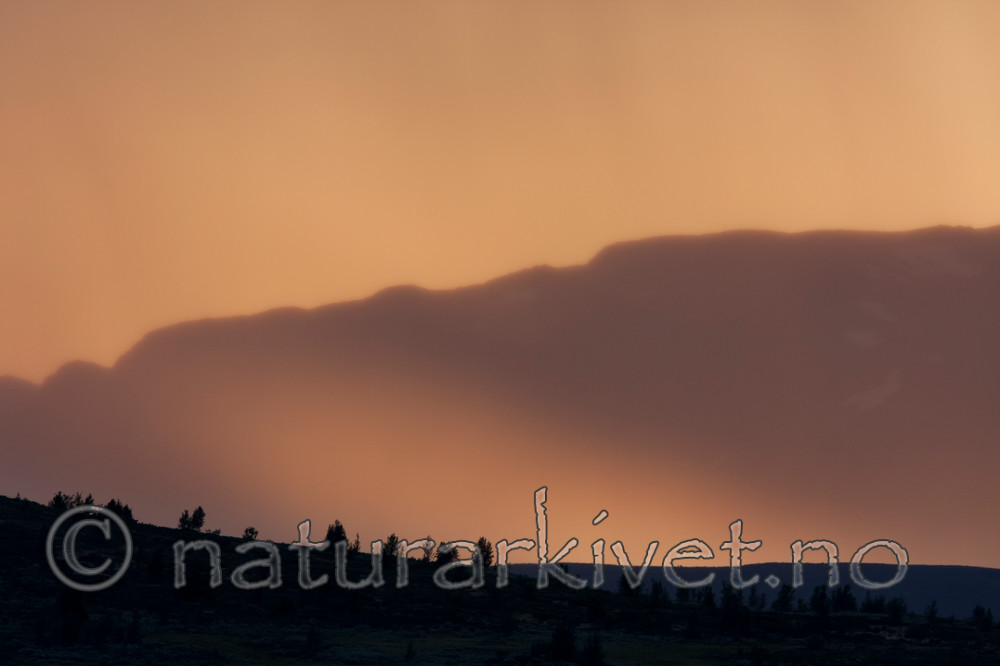 KA_090714_1669