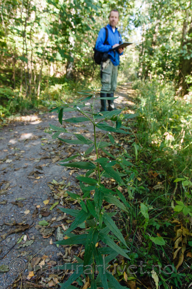 KA_090915_2798