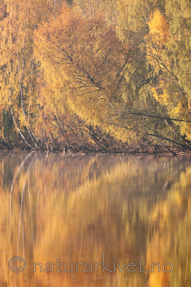 KA_091008_2872