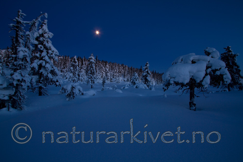 KA_091229_3414