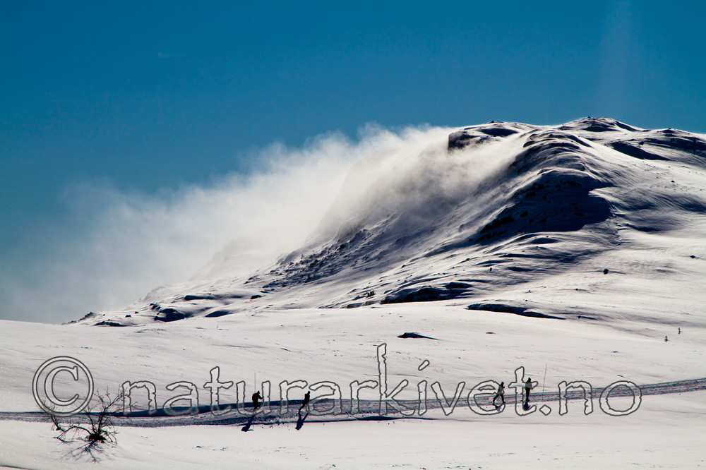 KA_100306_0872-2