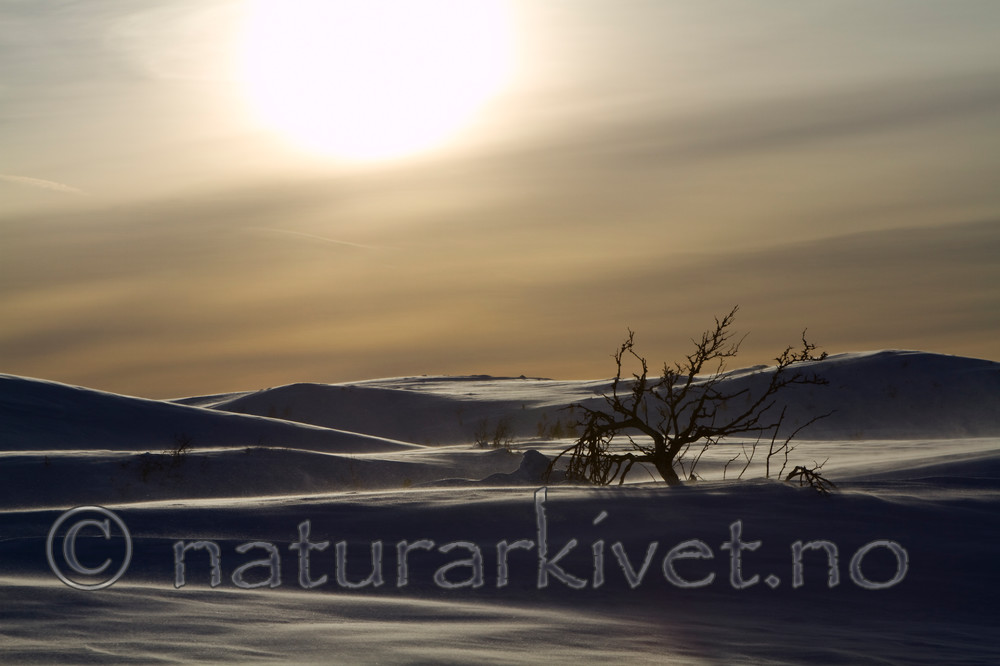 KA_100306_0934