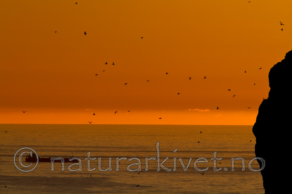 KA_100513_2605