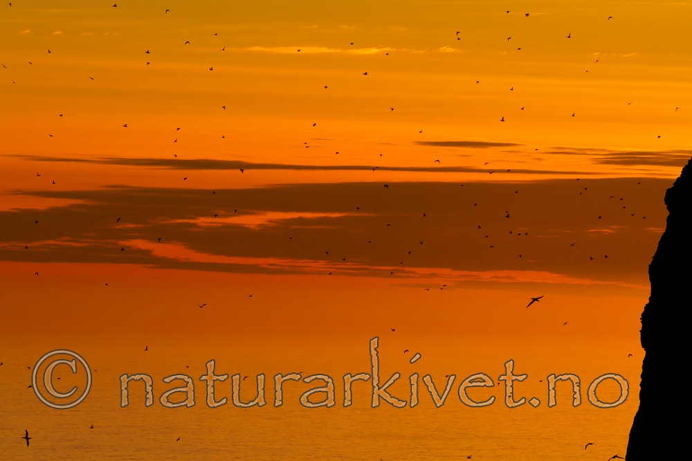 KA_100514_2863