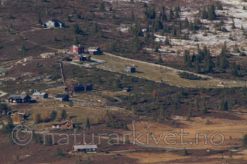 KA_100926_7953 / Rangifer tarandus / Rein